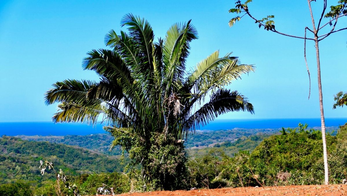 Magic_Mountain_Finca_4