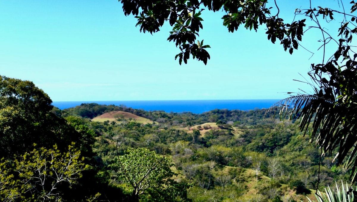 Magic_Mountain_Finca_5