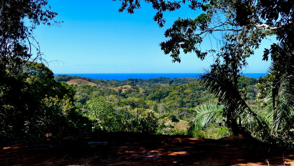 Magic_Mountain_Finca_6